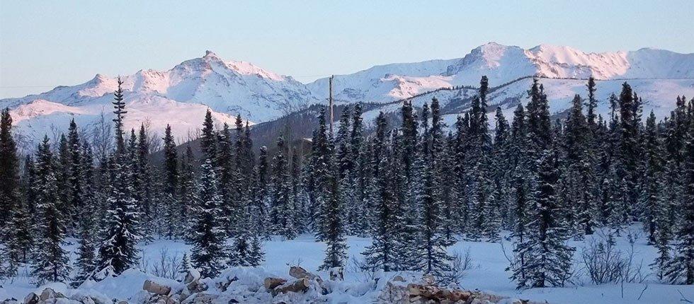 هيلي Denali Touch Of Wilderness B&B المظهر الخارجي الصورة
