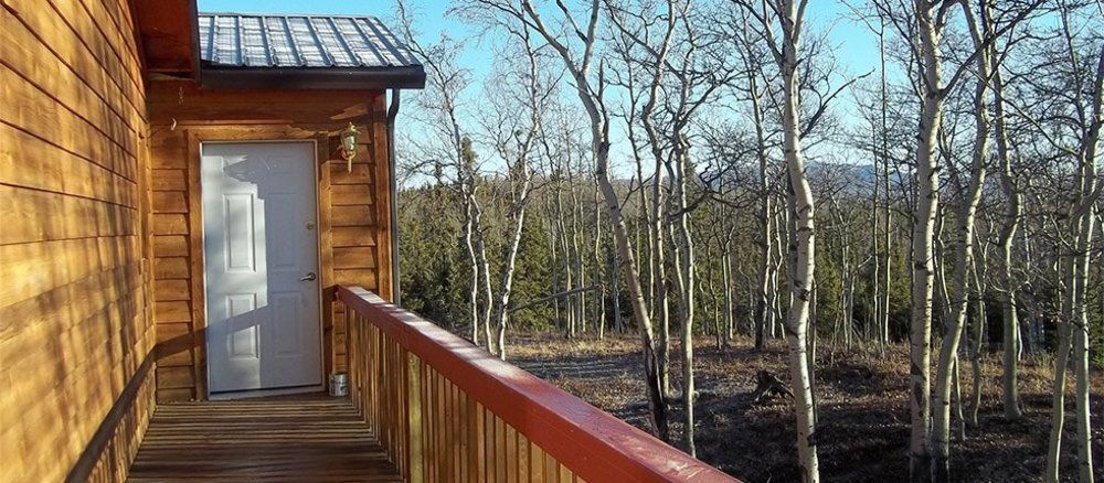 هيلي Denali Touch Of Wilderness B&B المظهر الخارجي الصورة